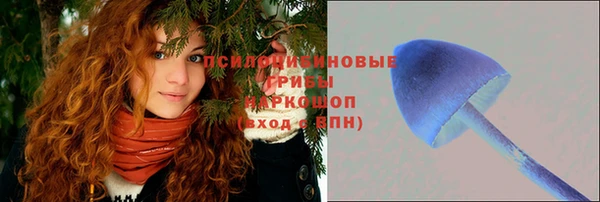 mdpv Алексин