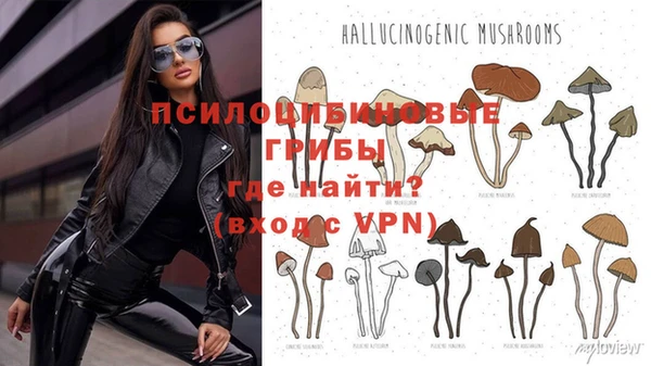 шишки Алзамай