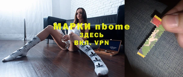 шишки Алзамай
