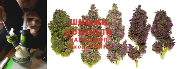 шишки Алзамай