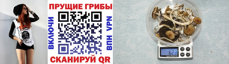 Псилоцибиновые грибы мухоморы  даркнет сайт  Нижние Серги 